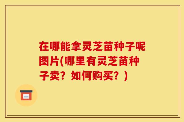 在哪能拿灵芝苗种子呢图片(哪里有灵芝苗种子卖?如何购买?)