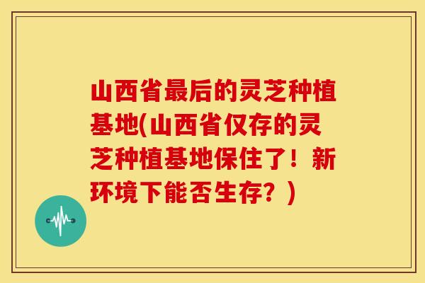 山西省最后的灵芝种植基地(山西省仅存的灵芝种植基地保住了!新环境下能否生存?)