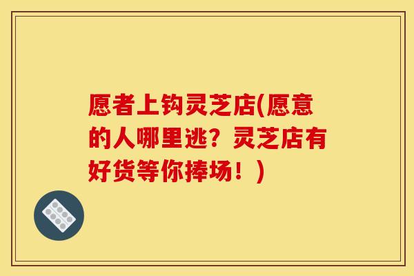 愿者上钩灵芝店(愿意的人哪里逃?灵芝店有好货等你捧场!)