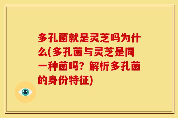 多孔菌就是灵芝吗为什么(多孔菌与灵芝是同一种菌吗?解析多孔菌的身份特征)