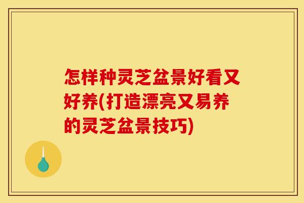 怎样种灵芝盆景好看又好养(打造漂亮又易养的灵芝盆景技巧)