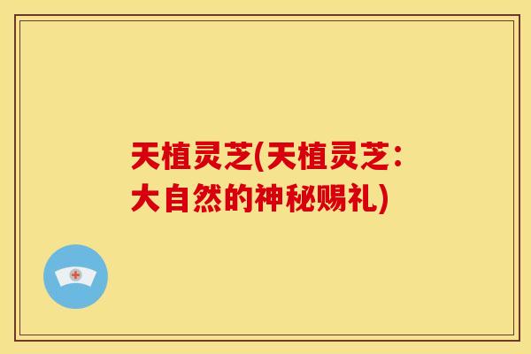 天植灵芝(天植灵芝：大自然的神秘赐礼)