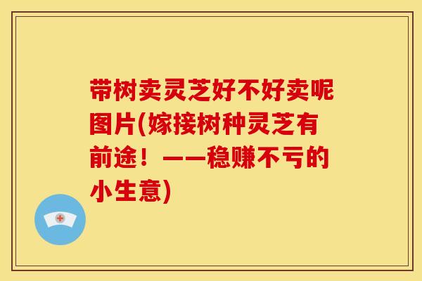 带树卖灵芝好不好卖呢图片(嫁接树种灵芝有前途！——稳赚不亏的小生意)