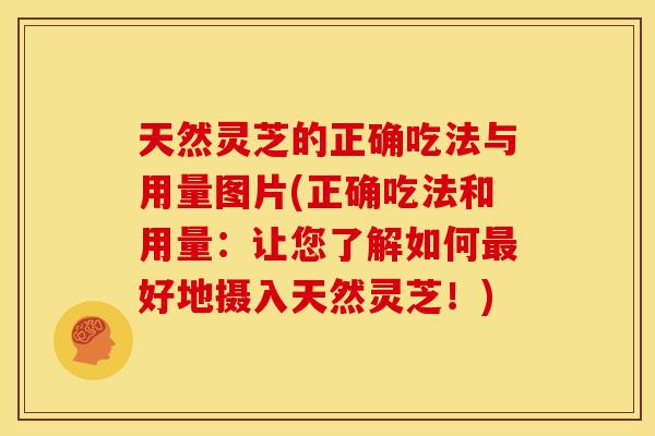 天然灵芝的正确吃法与用量图片(正确吃法和用量:让您了解如何最好地摄入天然灵芝!)