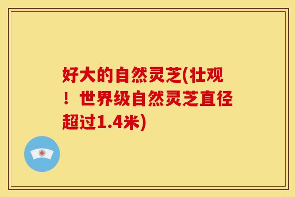 好大的自然灵芝(壮观！世界级自然灵芝直径超过1.4米)