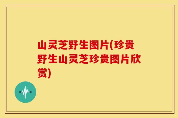 山灵芝野生图片(珍贵野生山灵芝珍贵图片欣赏)