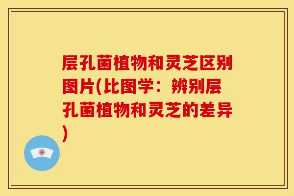 层孔菌植物和灵芝区别图片(比图学：辨别层孔菌植物和灵芝的差异)