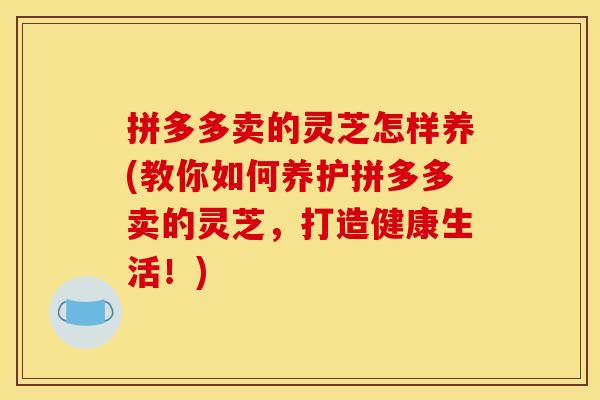 拼多多卖的灵芝怎样养(教你如何养护拼多多卖的灵芝,打造健康生活!)