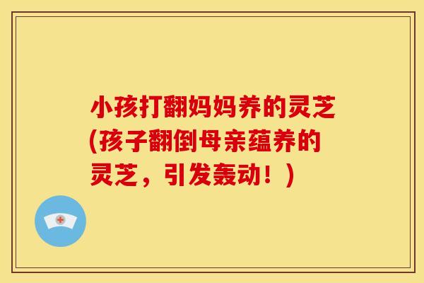 小孩打翻妈妈养的灵芝(孩子翻倒母亲蕴养的灵芝,引发轰动!)