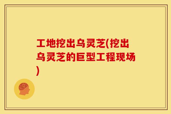 工地挖出乌灵芝(挖出乌灵芝的巨型工程现场)