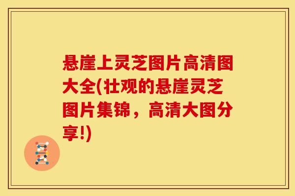 悬崖上灵芝图片高清图大全(壮观的悬崖灵芝图片集锦,高清大图分享!)