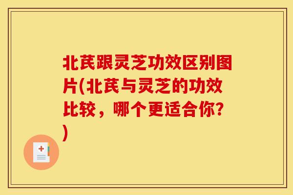 北芪跟灵芝功效区别图片(北芪与灵芝的功效比较,哪个更适合你?)