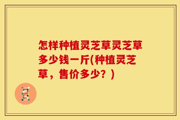 怎样种植灵芝草灵芝草多少钱一斤(种植灵芝草,售价多少?)