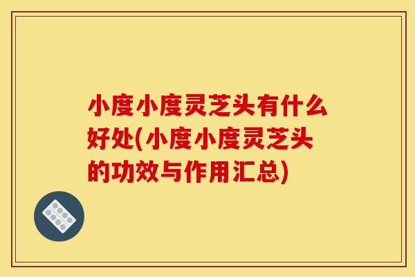 小度小度灵芝头有什么好处(小度小度灵芝头的功效与作用汇总)