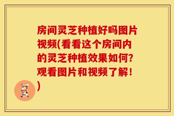 房间灵芝种植好吗图片视频(看看这个房间内的灵芝种植效果如何?观看图片和视频了解!)