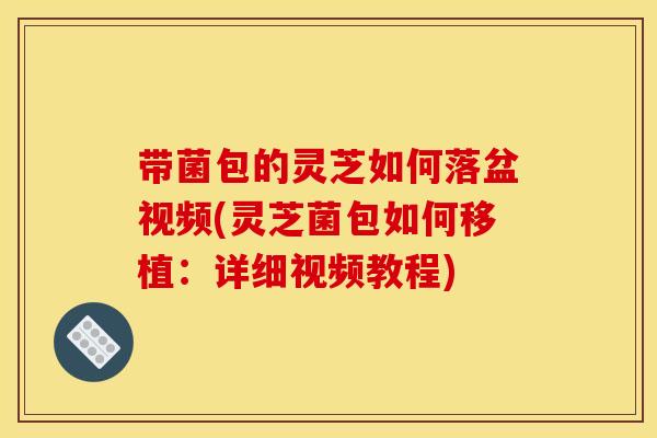 带菌包的灵芝如何落盆视频(灵芝菌包如何移植:详细视频教程)