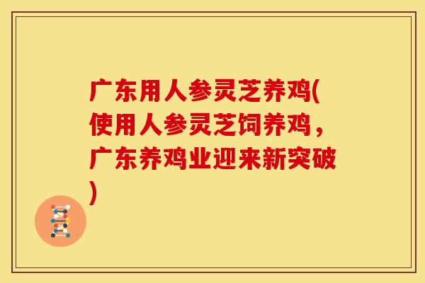 广东用人参灵芝养鸡(使用人参灵芝饲养鸡,广东养鸡业迎来新突破)