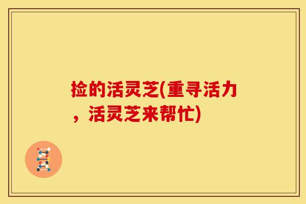 捡的活灵芝(重寻活力,活灵芝来帮忙)
