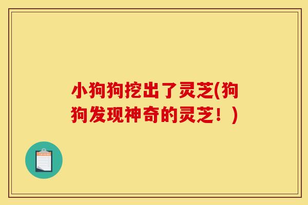 小狗狗挖出了灵芝(狗狗发现神奇的灵芝！)