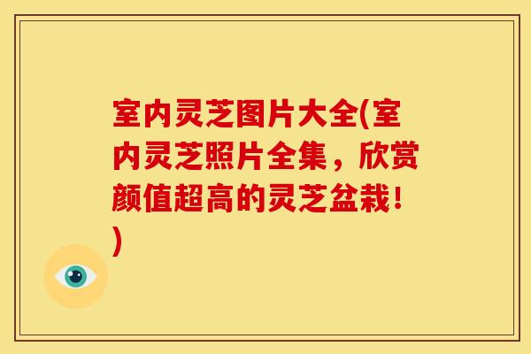 室内灵芝图片大全(室内灵芝照片全集,欣赏颜值超高的灵芝盆栽!)