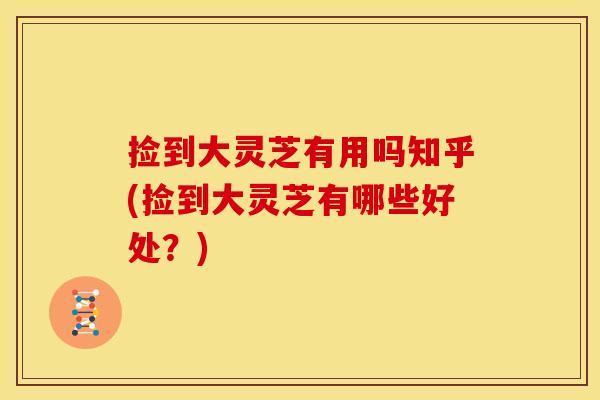 捡到大灵芝有用吗知乎(捡到大灵芝有哪些好处？)