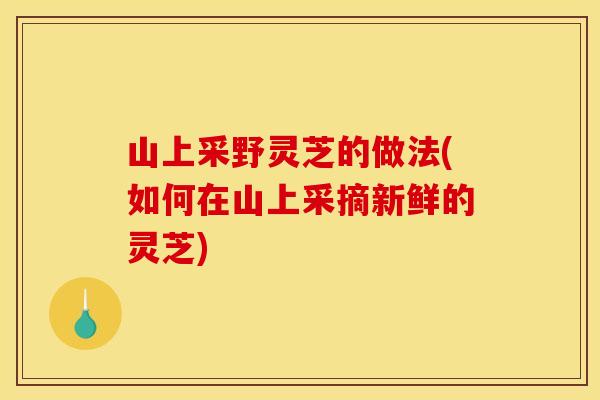 山上采野灵芝的做法(如何在山上采摘新鲜的灵芝)