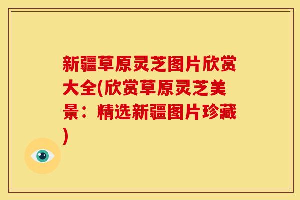 新疆草原灵芝图片欣赏大全(欣赏草原灵芝美景:精选新疆图片珍藏)