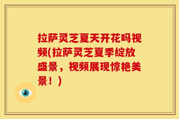 拉萨灵芝夏天开花吗视频(拉萨灵芝夏季绽放盛景，视频展现惊艳美景！)
