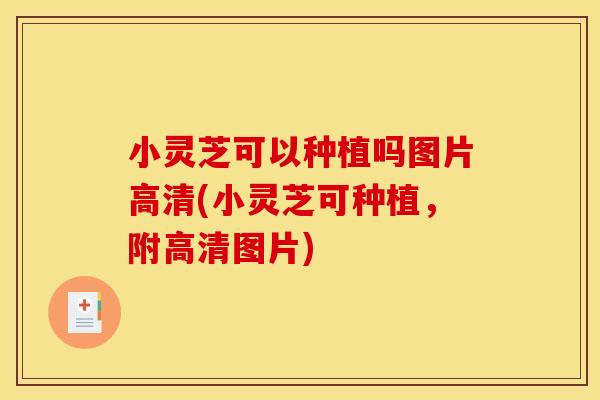 小灵芝可以种植吗图片高清(小灵芝可种植，附高清图片)