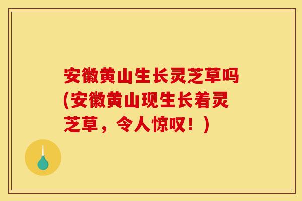 安徽黄山生长灵芝草吗(安徽黄山现生长着灵芝草，令人惊叹！)