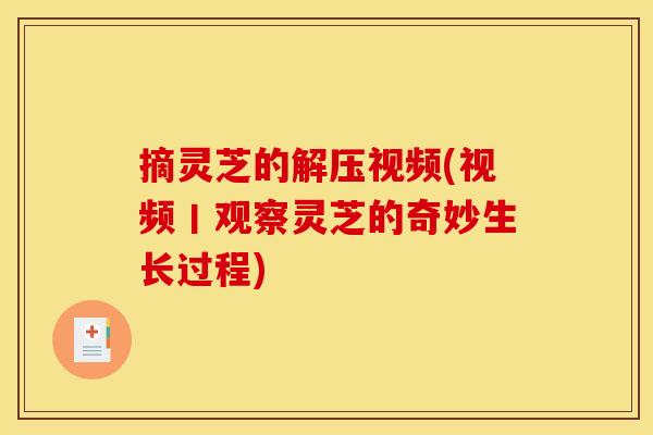 摘灵芝的解压视频(视频丨观察灵芝的奇妙生长过程)