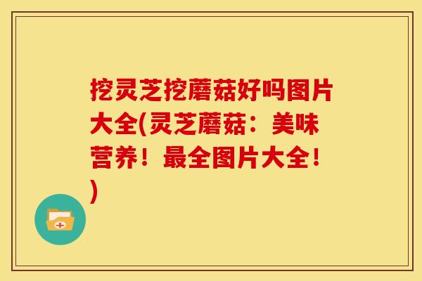 挖灵芝挖蘑菇好吗图片大全(灵芝蘑菇：美味营养！最全图片大全！)