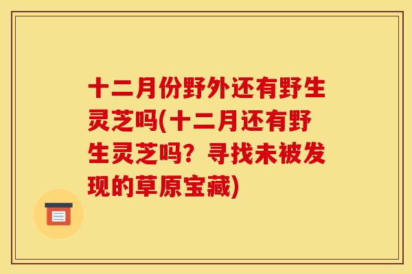 十二月份野外还有野生灵芝吗(十二月还有野生灵芝吗？寻找未被发现的草原宝藏)