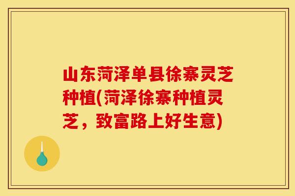 山东菏泽单县徐寨灵芝种植(菏泽徐寨种植灵芝，致富路上好生意)