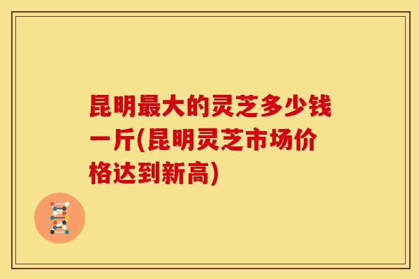 昆明最大的灵芝多少钱一斤(昆明灵芝市场价格达到新高)