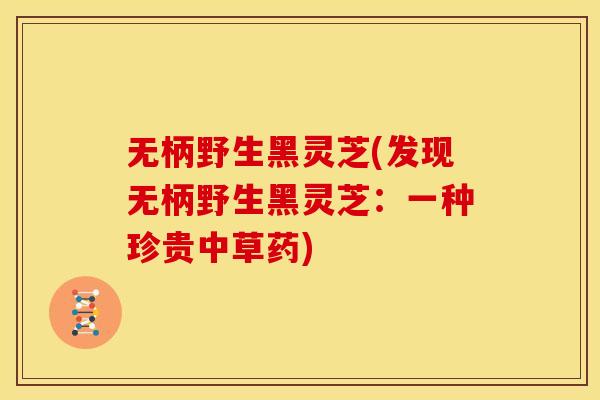 无柄野生黑灵芝(发现无柄野生黑灵芝：一种珍贵中草药)