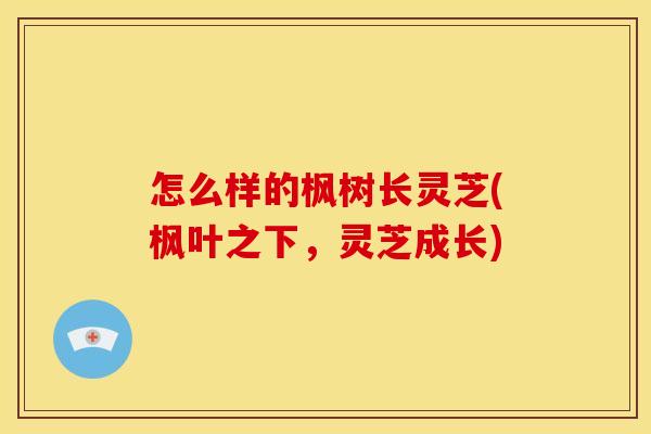 怎么样的枫树长灵芝(枫叶之下,灵芝成长)