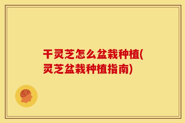 干灵芝怎么盆栽种植(灵芝盆栽种植指南)