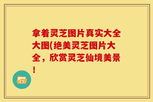拿着灵芝图片真实大全大图(绝美灵芝图片大全,欣赏灵芝仙境美景!