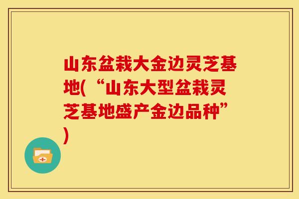 山东盆栽大金边灵芝基地(“山东大型盆栽灵芝基地盛产金边品种”)