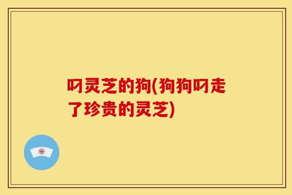 叼灵芝的狗(狗狗叼走了珍贵的灵芝)