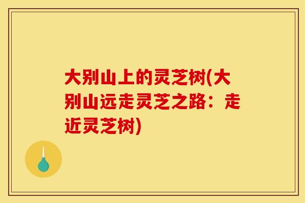 大别山上的灵芝树(大别山远走灵芝之路:走近灵芝树)