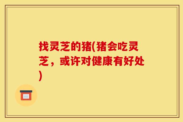 找灵芝的猪(猪会吃灵芝,或许对健康有好处)