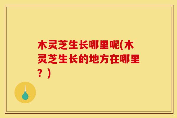 木灵芝生长哪里呢(木灵芝生长的地方在哪里?)