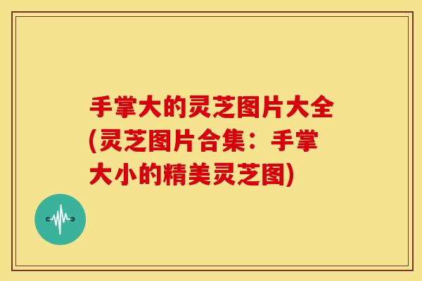 手掌大的灵芝图片大全(灵芝图片合集：手掌大小的精美灵芝图)