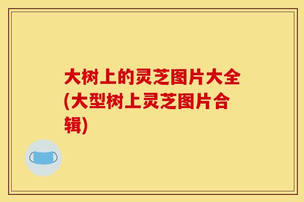 大树上的灵芝图片大全(大型树上灵芝图片合辑)