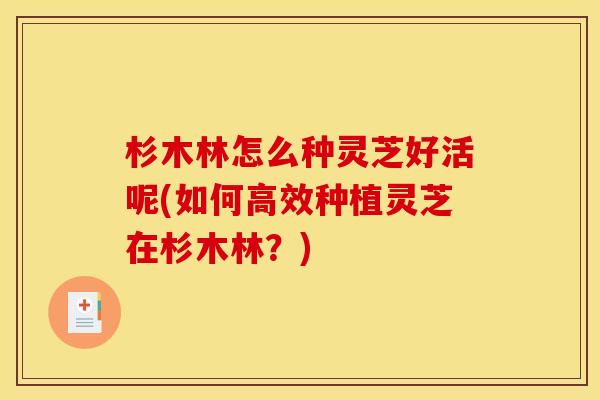 杉木林怎么种灵芝好活呢(如何高效种植灵芝在杉木林?)