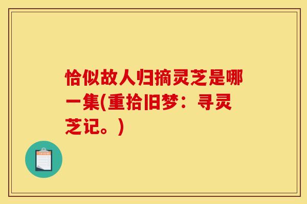 恰似故人归摘灵芝是哪一集(重拾旧梦:寻灵芝记。)