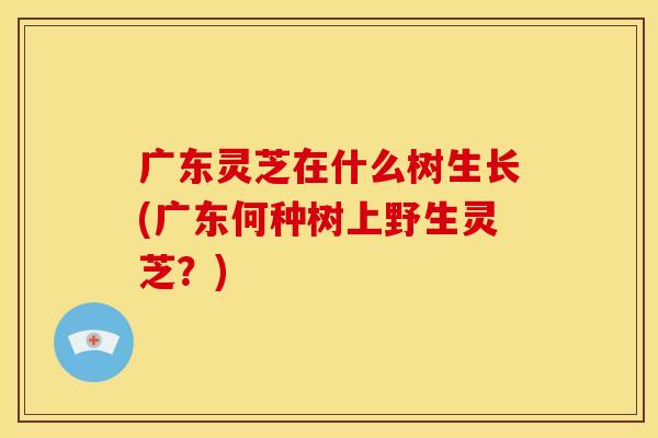 广东灵芝在什么树生长(广东何种树上野生灵芝？)