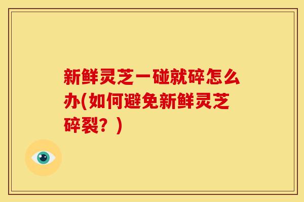 新鲜灵芝一碰就碎怎么办(如何避免新鲜灵芝碎裂?)
